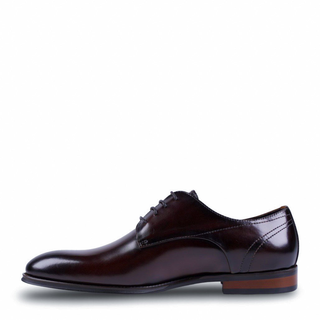 NEW Lucas Brown Derby Shoes