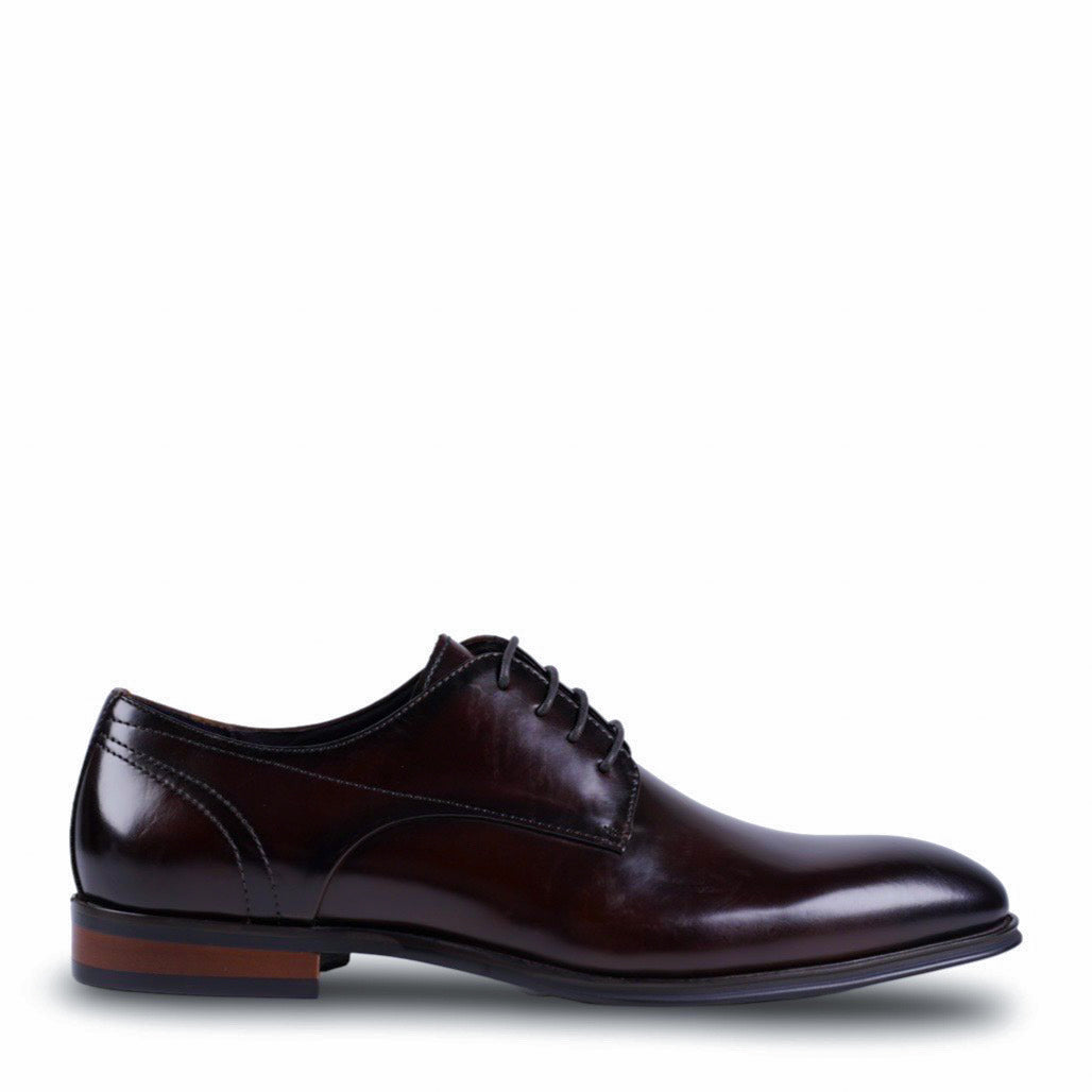 NEW Lucas Brown Derby Shoes