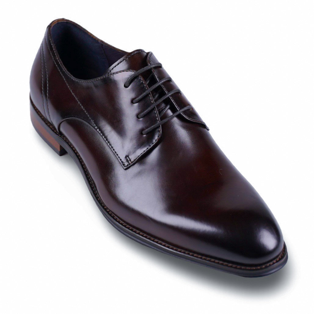 NEW Lucas Brown Derby Shoes