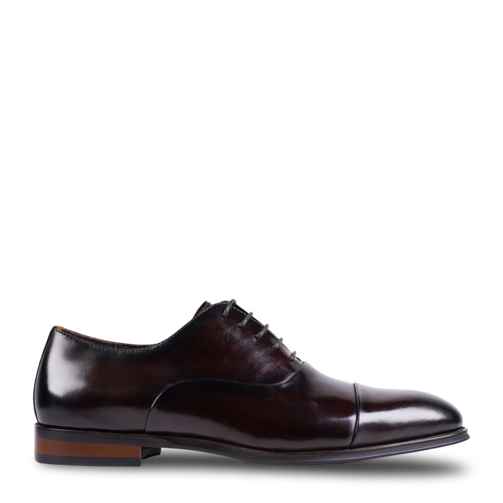 NEW Nico Brown Oxford Shoes