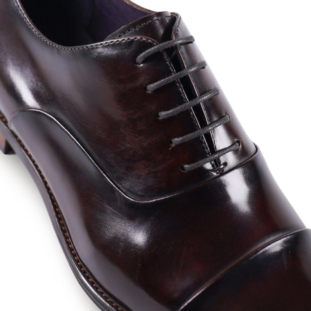 NEW Nico Brown Oxford Shoes
