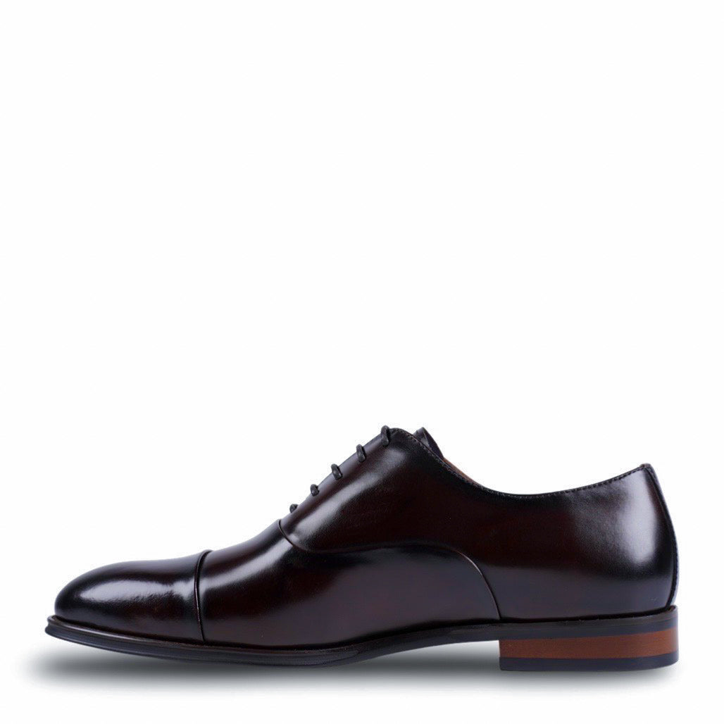 NEW Nico Brown Oxford Shoes